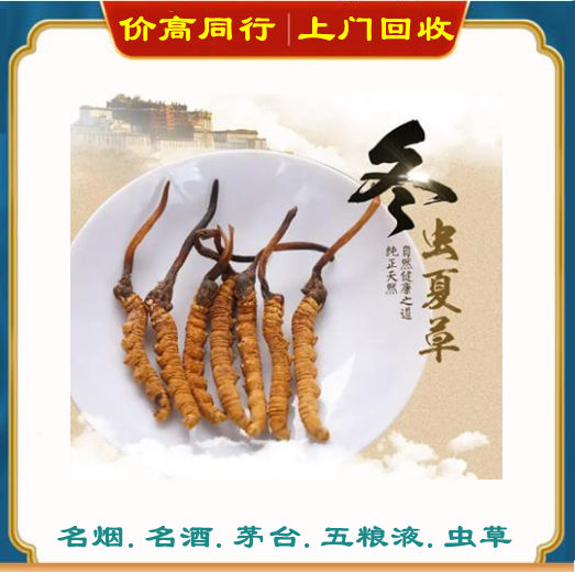 冬虫夏草_6.jpg